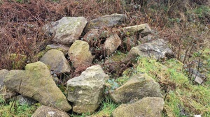 Why Use Granite in the Garden?